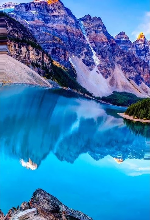 Nature whatsup dp collection🍀🌻🍁🌷🍂 #wallpaer #whatsup #nature #Wish2Share