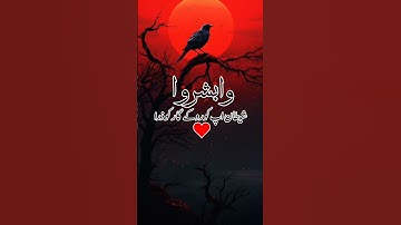 آيات من القرآن الكريم ❤️   #قران_كريم #اكسبلورهاشتاقات #المصحف #قرآن #اكسبلور #الرحمن #explore