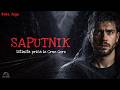 SAPUTNIK - Istinita priča iz Crne Gore, Baba Jaga price 