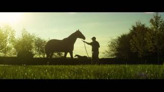 TONALIST - Lane's End