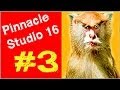 Pinnacle Studio 16 ,17 Эффект картинка в картинке Урок 3.Видеоредактор Мысля от Эдгара