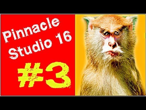   Pinnacle Studio 16 -  8