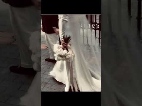 كامل يوسف خبري عمامك وان رادو يحيرونك اكسبلور دبكات دويتو الحياني لايك تصميم فيديوهات السالمي