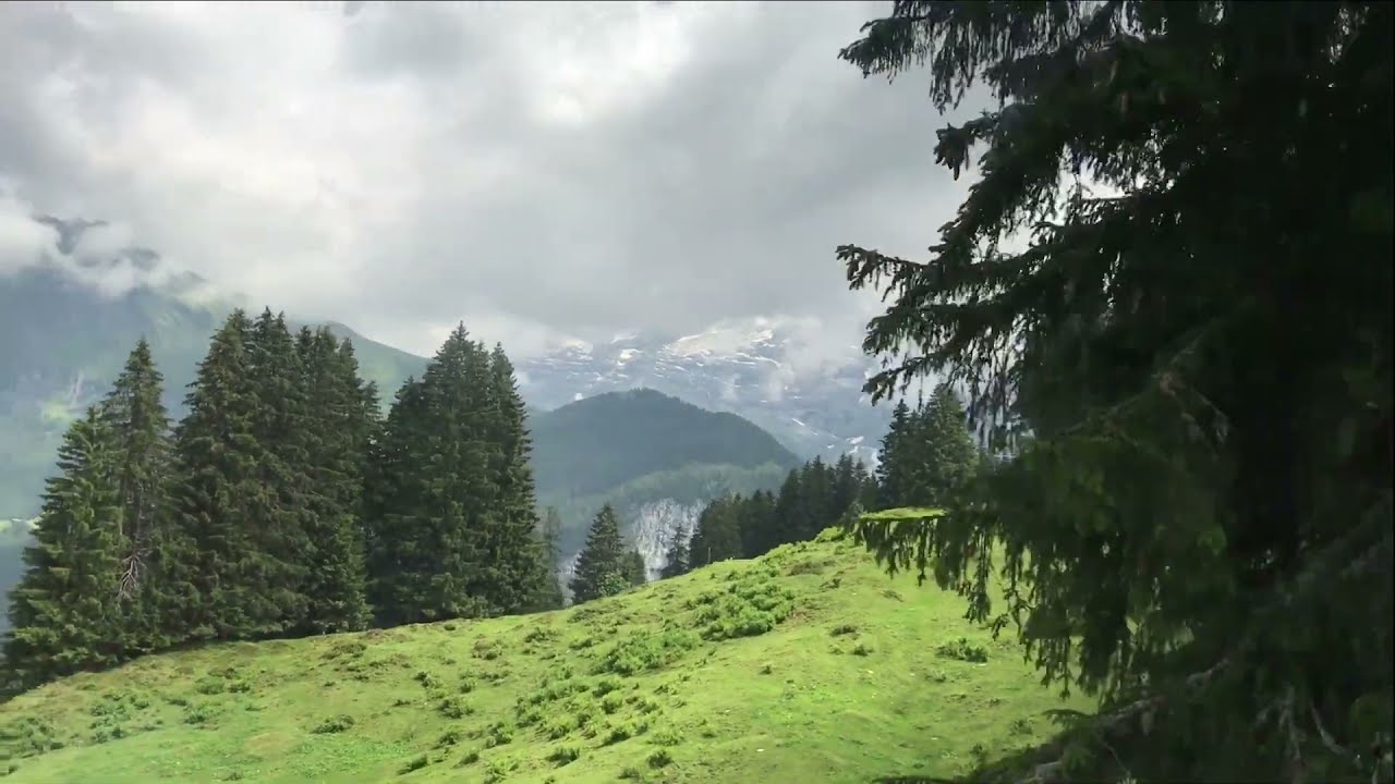 traveling in Switzerland, Sommer 2021, Mountains, countryside, Cities, Fly, Amazing Nature, 2021