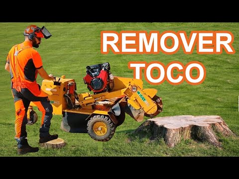 Vídeo: Instruções para remoção de toco de árvore: como remover um toco de árvore