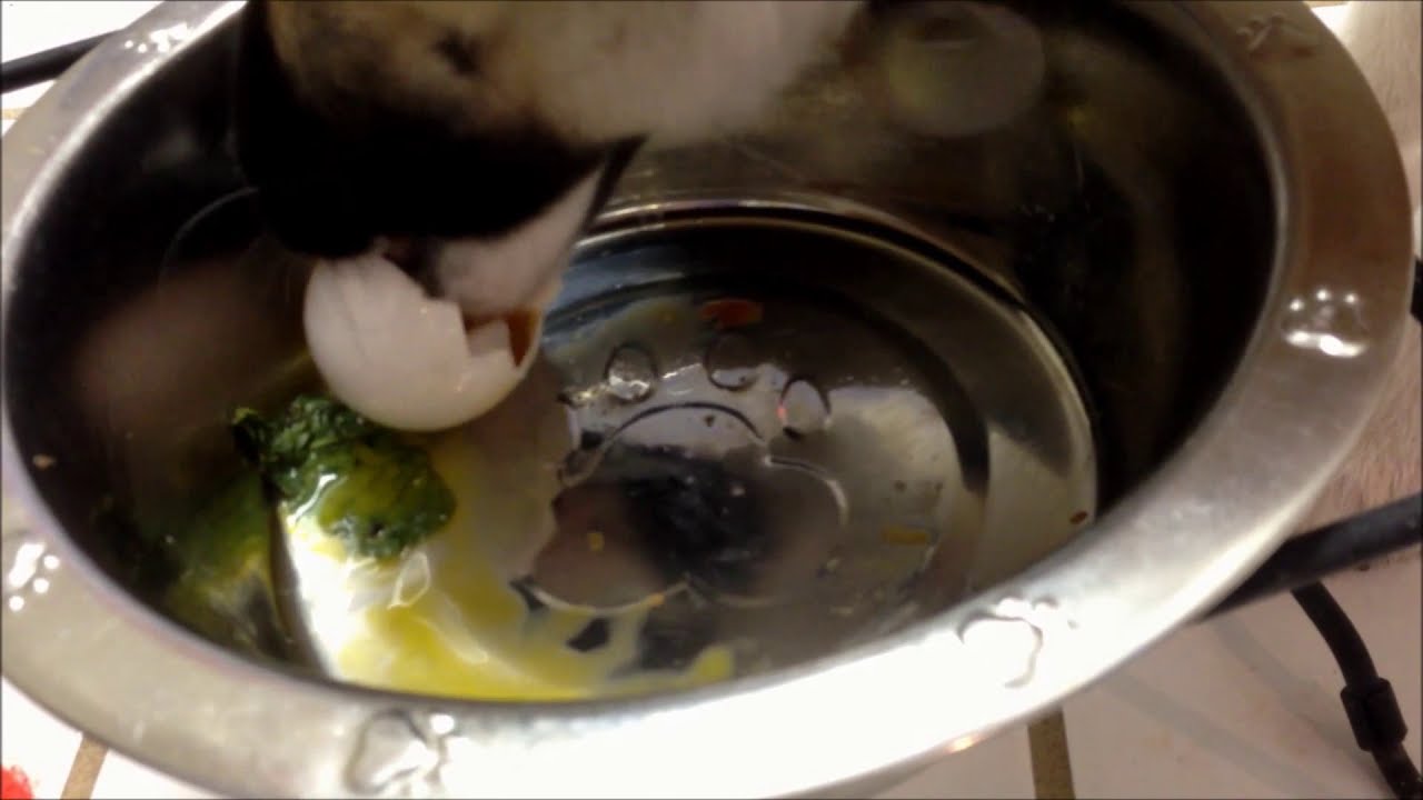 Puppy Eating a Whole Raw Egg First Time YouTube