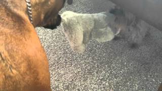 20131124_090939.mp4