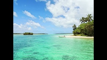 Reggae Beach Loop Transition Sound Effect