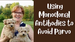 Building Strong Puppy Immune Systems With Monoclonal Antibodies to AVOID PARVO