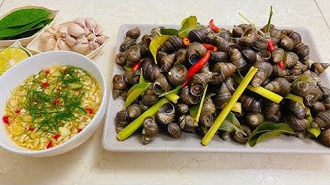 Cách Luộc Ốc và Pha Nước Chấm Ốc ngon đỉnh của đỉnh