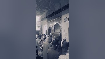 ماتيسر من سورة المنافقون بصوت القارئ محمد وليد الشرعبي