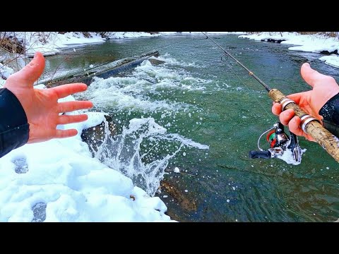 I Slipped Into an Icy River… Then This Happened