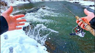 I Slipped Into an Icy River… Then This Happened