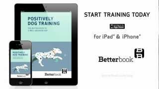 Positively Dog Training - Book Trailer
Positively Dog Training is your modern guide to a happy, healthy, and well-behaved pup. Whether you have a labrador retriever, beagle, or mutt, our approach to clicker training is both humane and easy to learn. Ditch that clunky DVD/book combo, and build a long-lasting bond with your pet.
Learn more here: http://openairpub.com/book/positively-dog-training/ref-youtube Positively Dog Training - Book Trailer