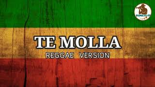 TE MOLLA .REGGAE  Version Lyrics