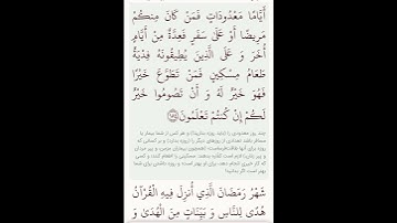 سوره بقره آیات ۱۸۳و۱۸۴با معنی گویا گوارای وجودتان #قرآن #قران_كريم #قران #قرآن_كريم #youtube