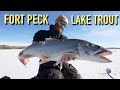 MONSTER Fort Peck Lake Trout | Ice Fishing