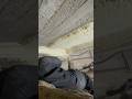 Expanding foam in action, insulating a floor!