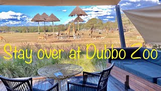 Dubbo Zoo Overnight Stay   4K