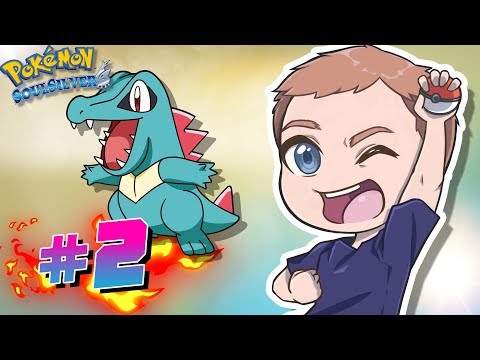 Video: Sådan finder du vandfaldskvaliteten i Pokemon Black: 7 trin