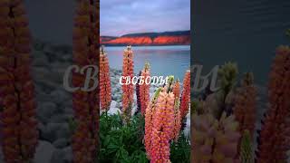 🎧 Чингиз Айтматов — о главной потребности человеческой души.#чингизаитматов #философияжизни #свобода