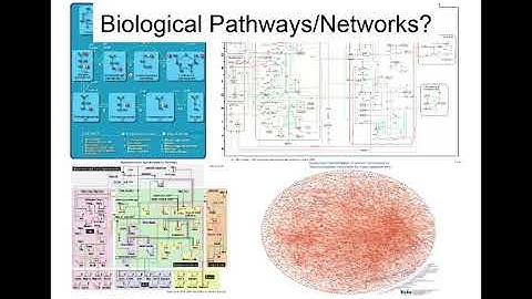 Network Visualization