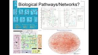 Network Visualization