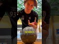Секрет грязных мячей в гандболе 😯
