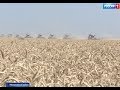 Уборку зерновых в донском колхозе имени Шаумяна завершили парадом комбайнов