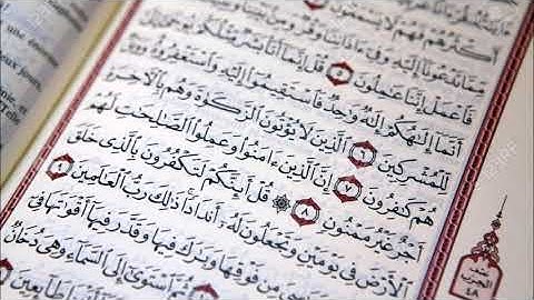 قراءة بالتحقيق من سورة إبراهيم للشيخ زكي داغستاني- التلاوة الاولى