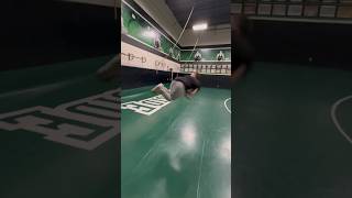 Wrestling Flips