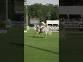 Horses are just amazing🤩 #showjumping