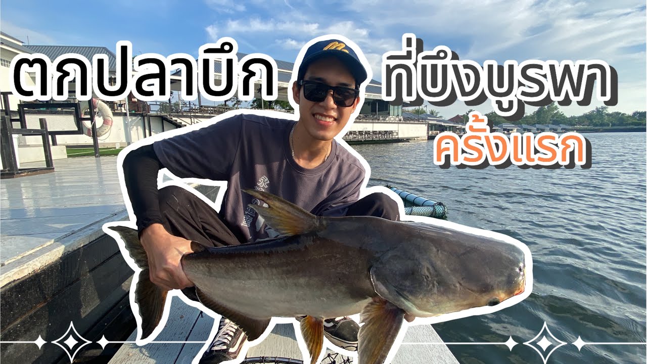 ตกปลาบึกที่บึงบูรพาครั้งแรก #บึงบูรพา