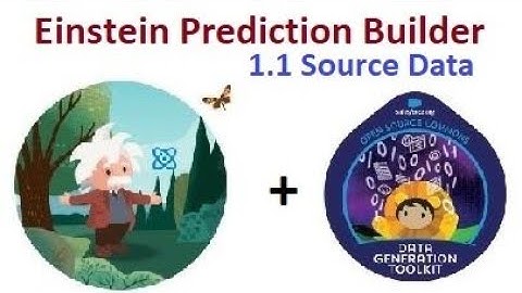 Einstein Prediction Builder 1.1 Source Data built by Snowfakery