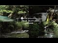 森の水と癒しのチェロ　信州旧安曇村（自然映像とBGM/心身浄化・癒し/作業用BGM）sound of cello
