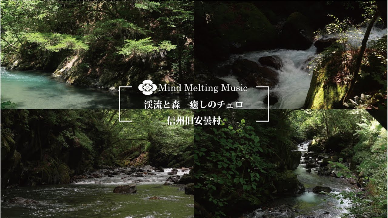 森の水と癒しのチェロ　信州旧安曇村（自然映像とBGM/心身浄化・癒し/作業用BGM）sound of cello