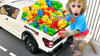 Download Lagu Monyet Bon Bon Imut membuat jelly pelangi dan berenang bersama teman bebek di peternakan MP3 Download Lagu Monyet Bon Bon Imut membuat jelly pelangi dan berenang bersama teman bebek di peternakan MP3