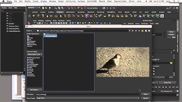 How To Create a Camera Image Plane in Maya