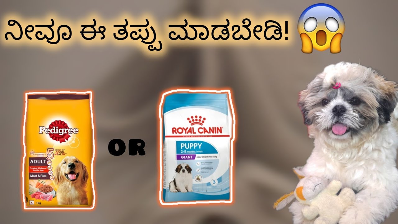 Which pet food is best?🤔🤑| Pedigree or Royal canin?| Kannada Vlogs #youtube #shihtzu #food