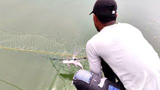 amazing Net fishing with River Big fish and fishing #fishhunting2 #amazingfishing