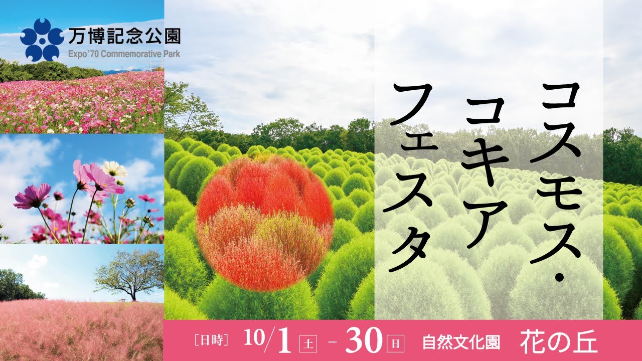 遊記 大阪萬博紀念公園 民族學博物館與花之丘ptt推薦japan Travel