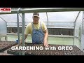 What You Should Know Before Buying a Greenhouse!