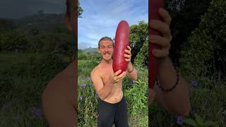 A Giant Red Banana