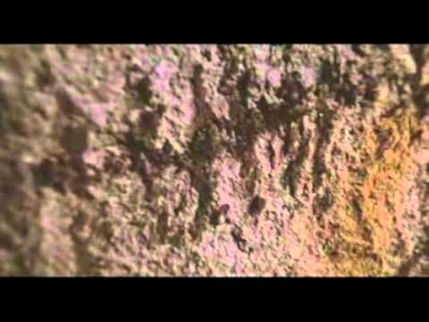 Стелла Артуа / Stella Artois