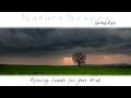 🎧 SOOTHING SPRING RAIN & THUNDER... Nature Sounds for Relaxing, Meditation & Sleep