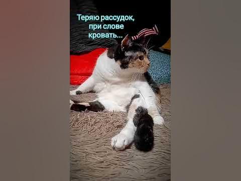 Ккакому доктору обратится с больным позвоночником. Работа с позвоночником ,шеей,дыханием - скачать ключи и сертификаты на. «Осевший» позвоночник — скрытая причина всех ваших болезней! - Полезн. 25.02.2020 — Бобруйская городская больница скорой медицинской помощи.