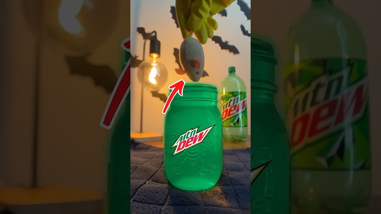 mountain dew can DISSOLVE a mouse... or can it? 🐁