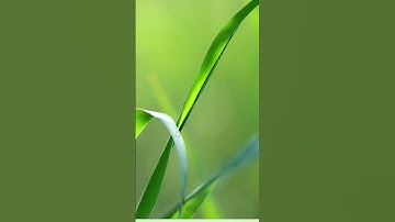 Uninstall product key #windows11