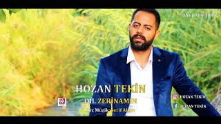 HOZAN TEKİN - DIL ZERİNAMIN - 2020  Resimi