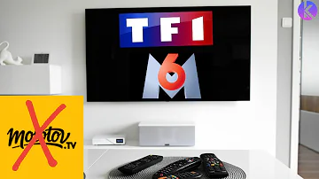 Quelles chaînes appartiennent à TF1 ?